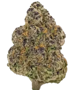 Kush Mints