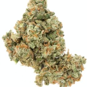 1548718467-171023_41166_JackHerer_1-scaled-2-600x800-1-280x280