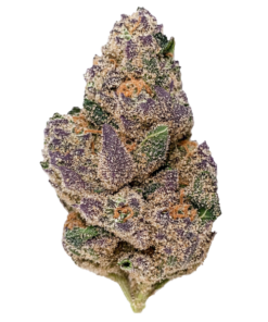 Blueberry Caviar