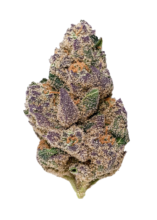 2997-blueberry-caviar_700
