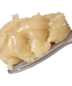Runtz Live Rosin