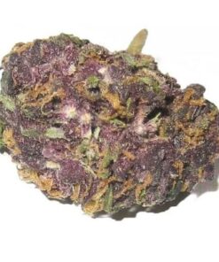 Grand Daddy Purple Strain