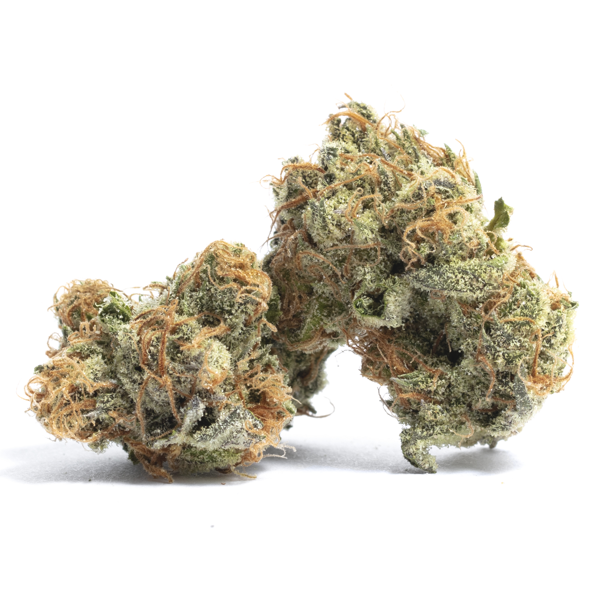 strain-8