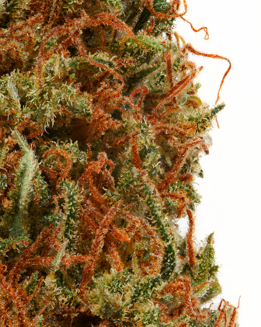HempHop-WeddingCake-Macro_540x
