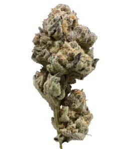 Sun Run THCa Flower