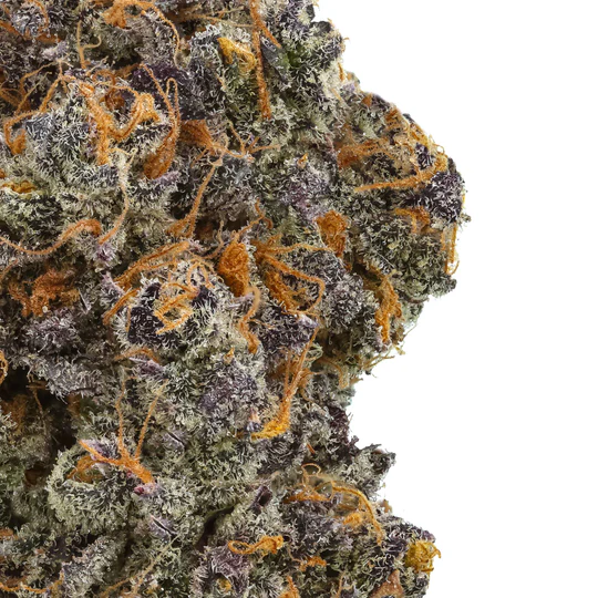 inferno-rose-thca-flower-zoom_540x